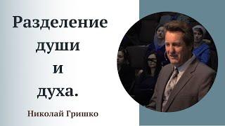 Разделение души и духа. Николай Гришко.