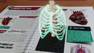 The human body - 3D augmented reality (AR) book