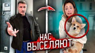 НАС ВЫСЕЛЯЮТ! Злой ХОЗЯИН КВАРТИРЫ ЗАСТАВЛЯЕТ НАС ИЗБАВИТЬСЯ от СОБАКИ