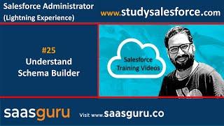 25 Schema builder to manage objects and field through GUI in salesforce | Salesforce Training Videos