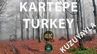 [4K] Kuzuyayla, Kocaeli Turkey | The magic of fog, rain, and silence