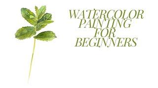 Watercolour Tutorial - painting Mint