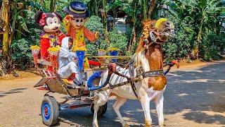 KUDA | KUDA DELMAN - NAIK KUDA | LAGU NAIK DELMAN, POTONG BEBEK, KERETA API, WHEELS ON THE BUS