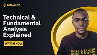 Technical & Fundamental Analysis Explained for Crypto Beginners