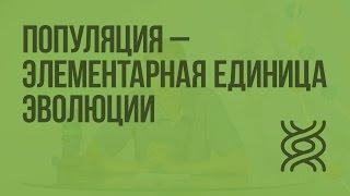 Популяция - элементарная единица эволюции. Видеоурок по биологии 11 класс