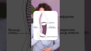 Почему не эффективны вагинальные тренажеры