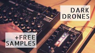 Lyra Springs // Lyra8, Gamechanger Audio Light Pedal [free samples]