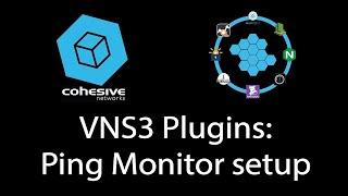 VNS3 Plugins: Ping Monitor