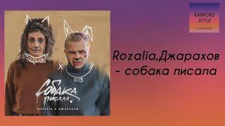 Rozalia,Джарахов - собака писала // KARAOKE STYLE