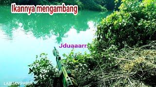 2 HARI BERBURU IKAN MENCARI IKAN BESAR DI SUNGAI || DAPAT IKAN GURAME MANGROVE JACK NILA BELANAK