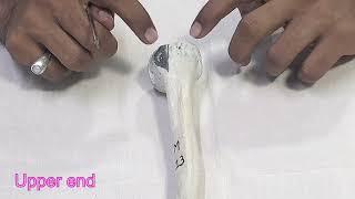 humerus bone anatomy | side determination  | parts | attachments | Applied Anatomy