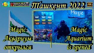 Magic Аквариум в Ташкенте | Magic Aquarium in Tashkent