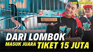 Dapet 65 Juta  Dari Lombok Murai Komodo Juara [SMM feat SKMN]