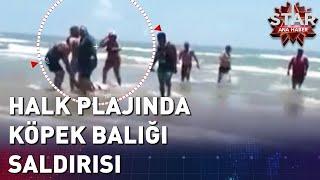 Halk Plajında Köpek Balığı Saldırısı | Star Ana Haber