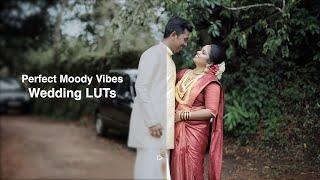 Wedding LUTs for the Perfect Moody Vibes | Wedding Lut 2022 | Fcpx & Premiere pro | Download Now |