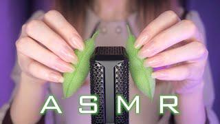 ASMR You Will Definitely Sleep Within 5 Minutes (No Talking)