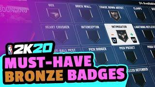 SECRET MUST-HAVE BRONZE BADGES in NBA 2K20