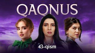 Qaqnus 43-qism