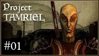 International Scumbag for Hire - Morrowind Project Tamriel - Part 1