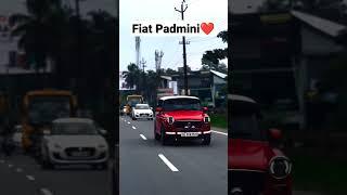 FIAT Padmini Modified 2022 ️ #viral #shorts