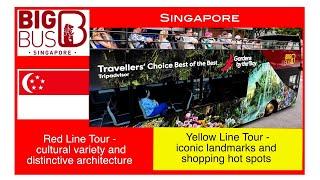 Big Bus Tours | Hop On Hop Off Singapore | Singapore Big Bus Tour | Singapore Travel Guide