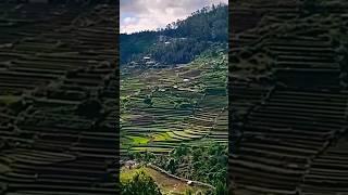 Kodaikanal  Poombarai | Tourist places | Travel video | Tourism #kodaikanal #shorts