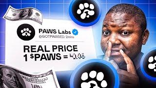 PAWS Airdrop Price Price Prediction — Can It Hit $0.08 ?