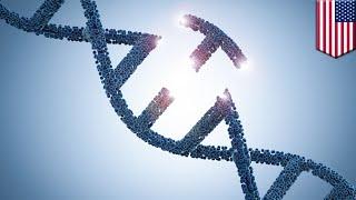 Prime editing corrects genetic mutations more precisely - TomoNews