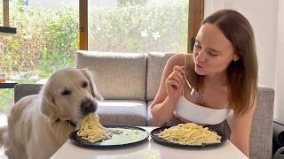 Spaghetti Eating Competition: Golden Retriever Dog vs. Owner