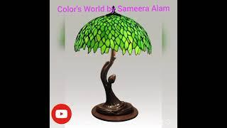 Color's World by Sameera Alam...Glass Painted beautiful different lampshade for home decorations ️