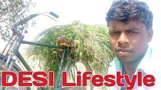 Desi life Indian vlogs