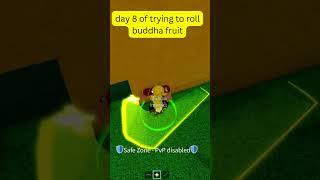 Day 8 rolling a fruit in blox fruit  #roblox #shortsfeed #bloxfruits #bloxfruitsroblox