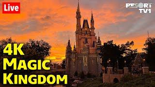 4K Live: A Beautiful Saturday Evening in 4K at Magic Kingdom - Walt Disney World Live Stream