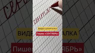 Видео шпаргалка по чистописанию #каллиграфия #чистописание #красивыйпочерк #почерк #handwriting