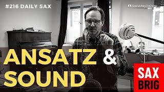 Frage von Yvonne zum Ton - Saxophon Ansatz Tipps wenn die Saxophon Töne quietschen - DailySax #216