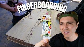 DAY IN THE LIFE OF A FINGERBOARDER