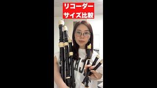 【バス〜世界最小】リコーダーのサイズ比較！#リコーダー#recorder #吹奏楽