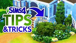 Landscape for FREE in The Sims 4 // Step-By-Step Landscaping, Terrain Paint, & DEBUG