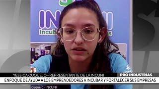 Enfoque de ayuda a los emprendedores a incubar y fortalecer sus empresas