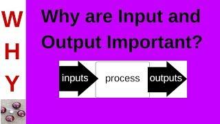 Input/Output Function