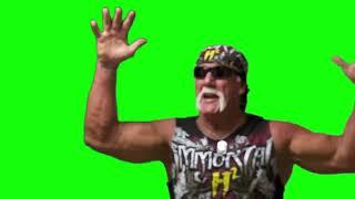 Hulk Hogan "oh my god, what a masterpiece" green screen