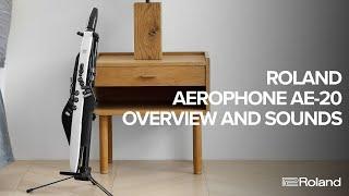 Roland Aerophone AE-20 Overview and Sound Examples