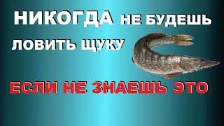 ТЫ НЕ ЗНАЕШЬ, А УЧЕНЫЕ ЗНАЮТ! ТЕПЕРЬ ЛОВИТЬ ЩУКУ будешь В ЯНВАРЕ И ФЕВРАЛЕ | SeMano TV