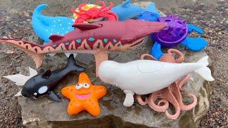 Discovering Sea Animals with Cute Figurines and Facts for Children