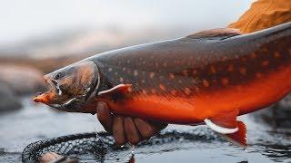 FLY FISHING for ARCTIC CHAR in GREENLAND!