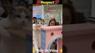 Respect#shorts #video #viral #onlyon ""(13)""