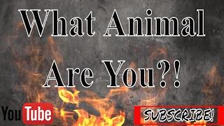 WHAT ANIMAL AM I?! | What Animal Are You Quiz