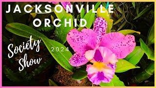 Orchids Gone Wild. Jacksonville Orchid Society Show 2024