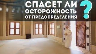 «Спасет ли нас осторожность от предопределения Всевышнего?». Шейх Умар Абдулькафи