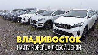 Ищу живого Корейца во Владивостоке / Цены на левый руль / Hyundai Palisade / Зеленый угол